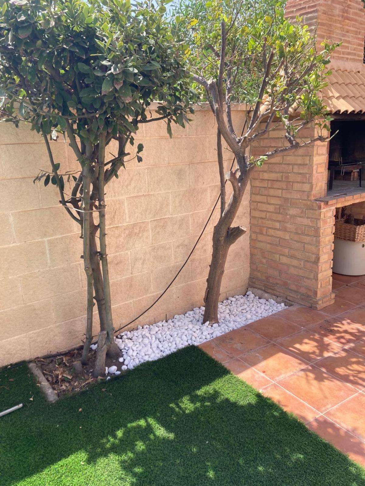 Luxury Villa 20Mts Far From The Sea Orihuela Dış mekan fotoğraf